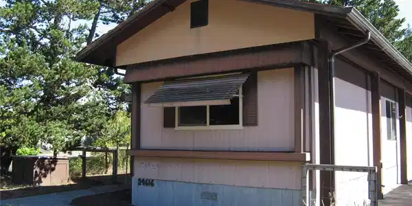 24616 Elm