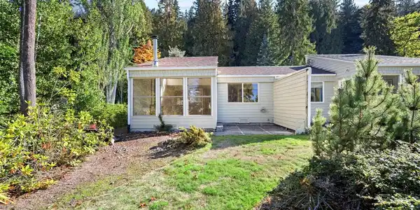 22 Marigold