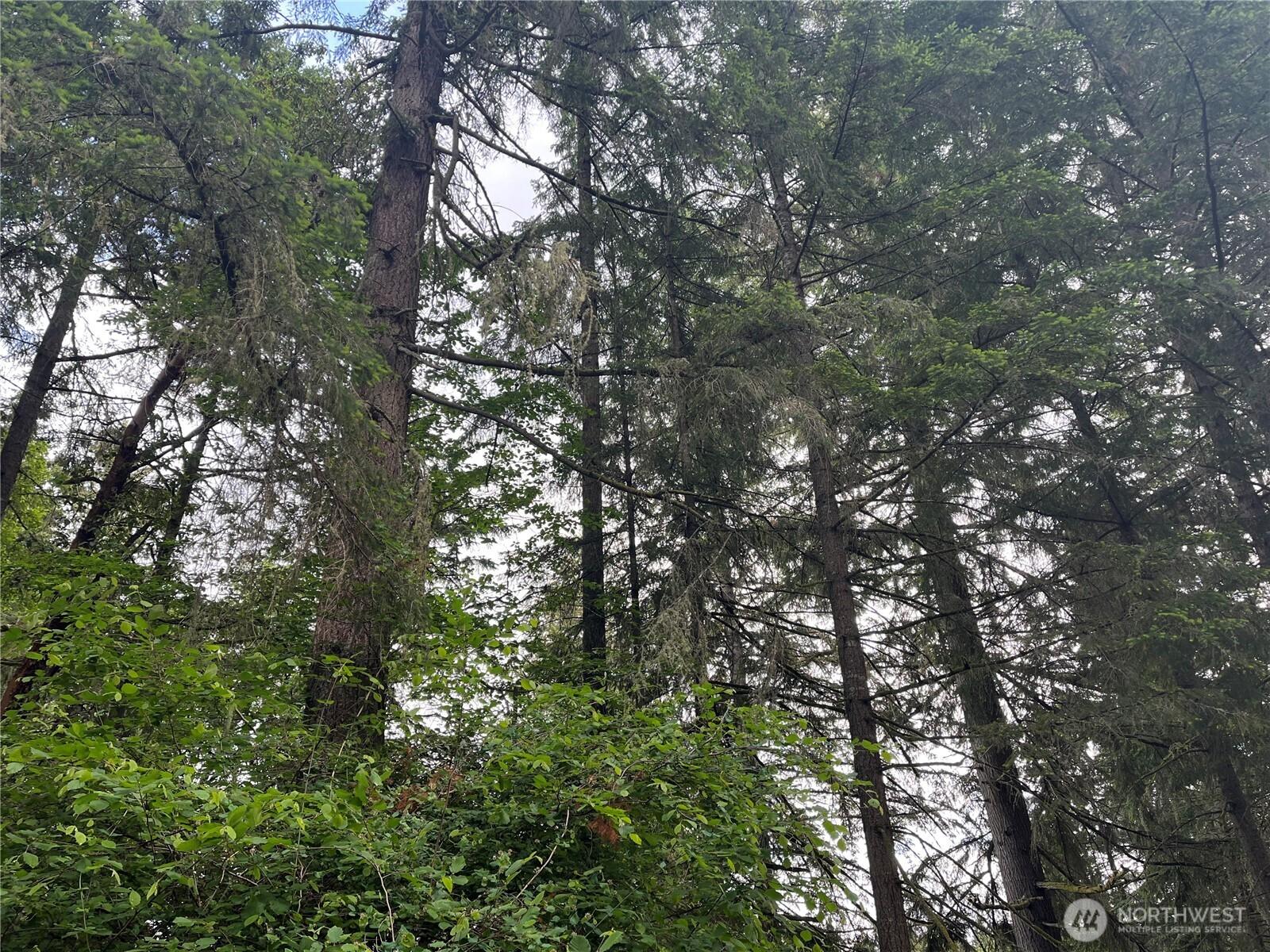 Image 4 Image 4