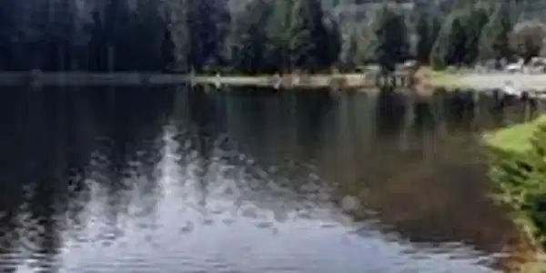Image 3 Image 3