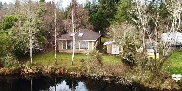 24314 Birch