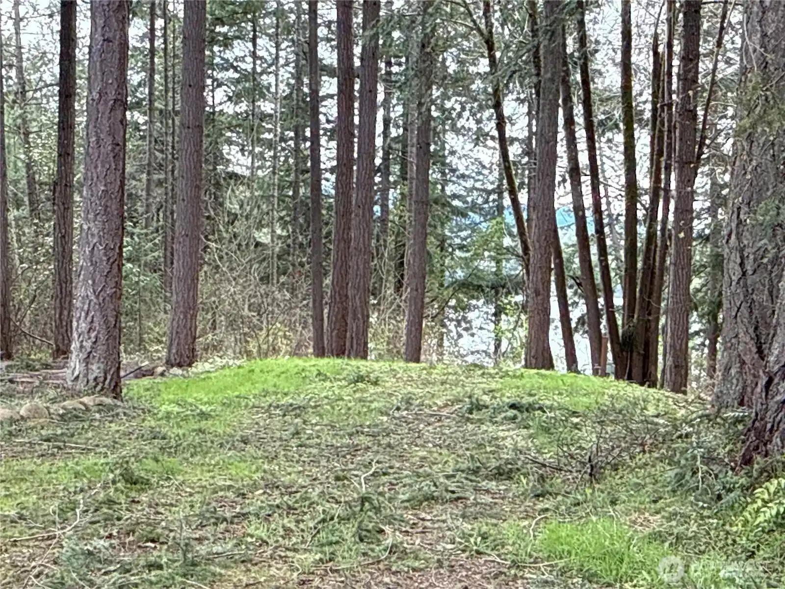 Image 1 Image 1