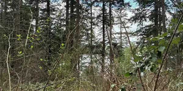 Image 3 Image 3