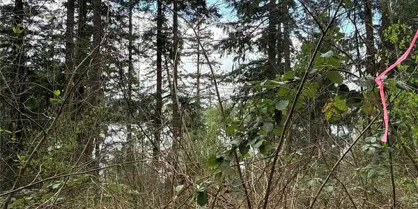 Image 4 Image 4