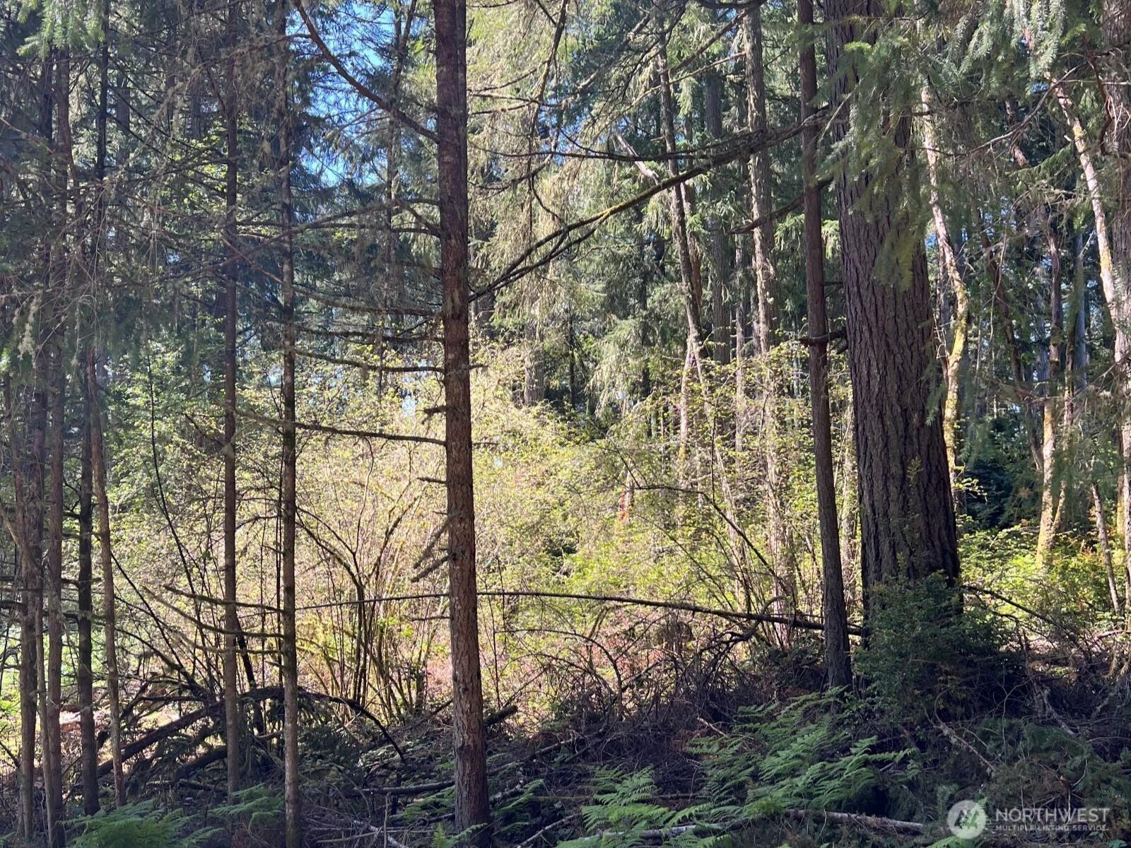 Image 2 Image 2
