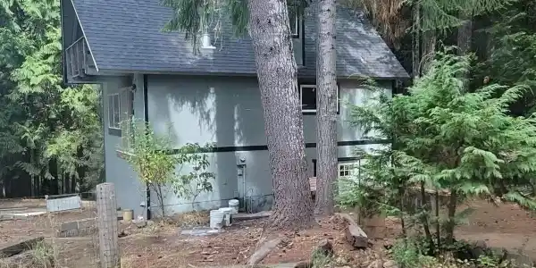 150 Deer