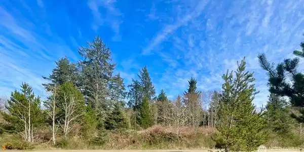 285 Y