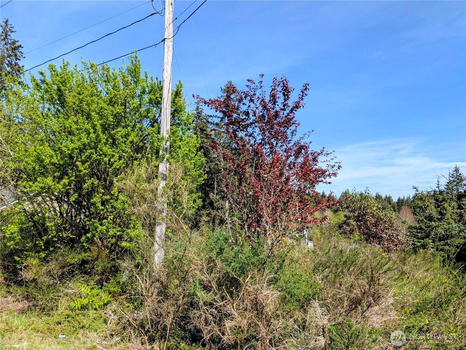 Image 4 Image 4