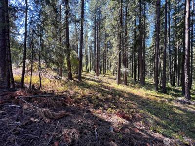 22745 Lake Wenatchee