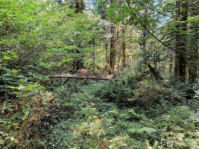 300000 BLK Daggart Lake