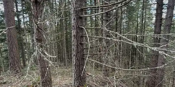 Image 4 Image 4