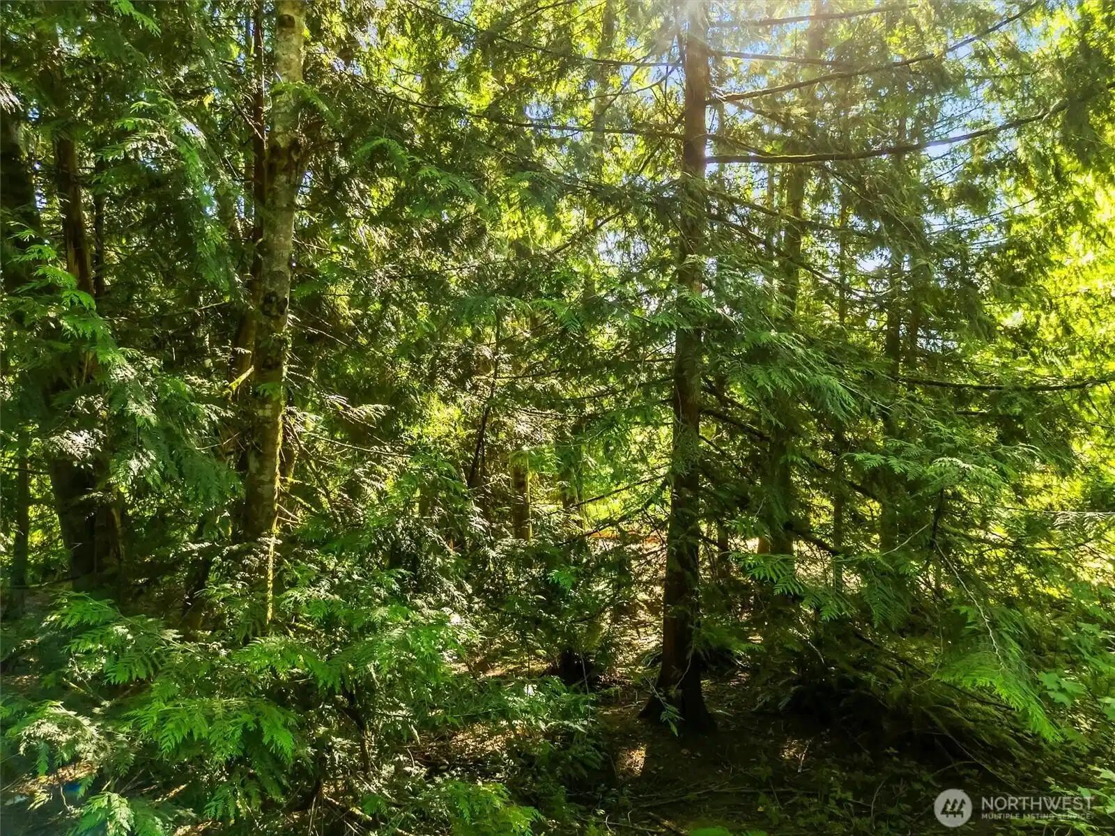 Image 1 Image 1