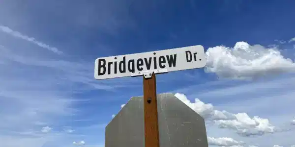 311 Bridgeview Drive