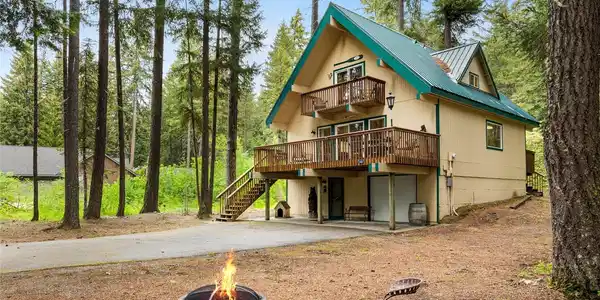 380 White Fir