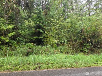 1581 PHILLIPS LAKE LOOP