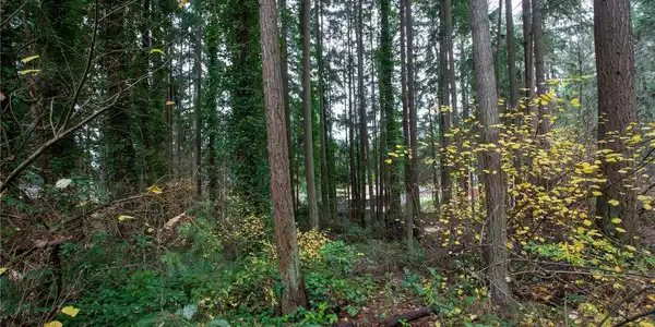 Image 3 Image 3