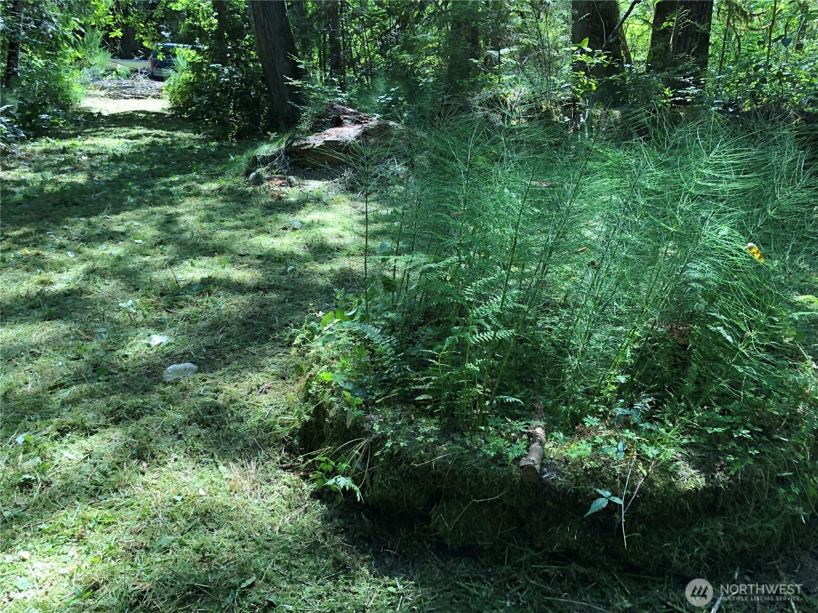 Image 4 Image 4