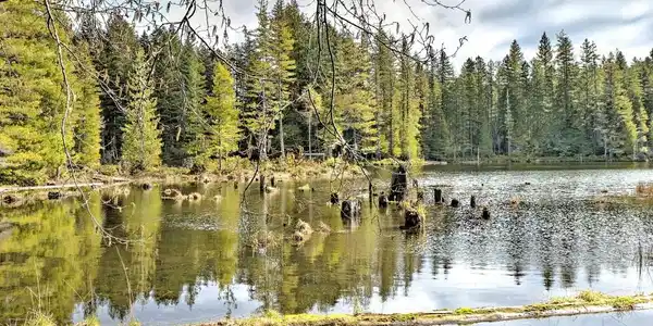 0 NE Lake Christine Road