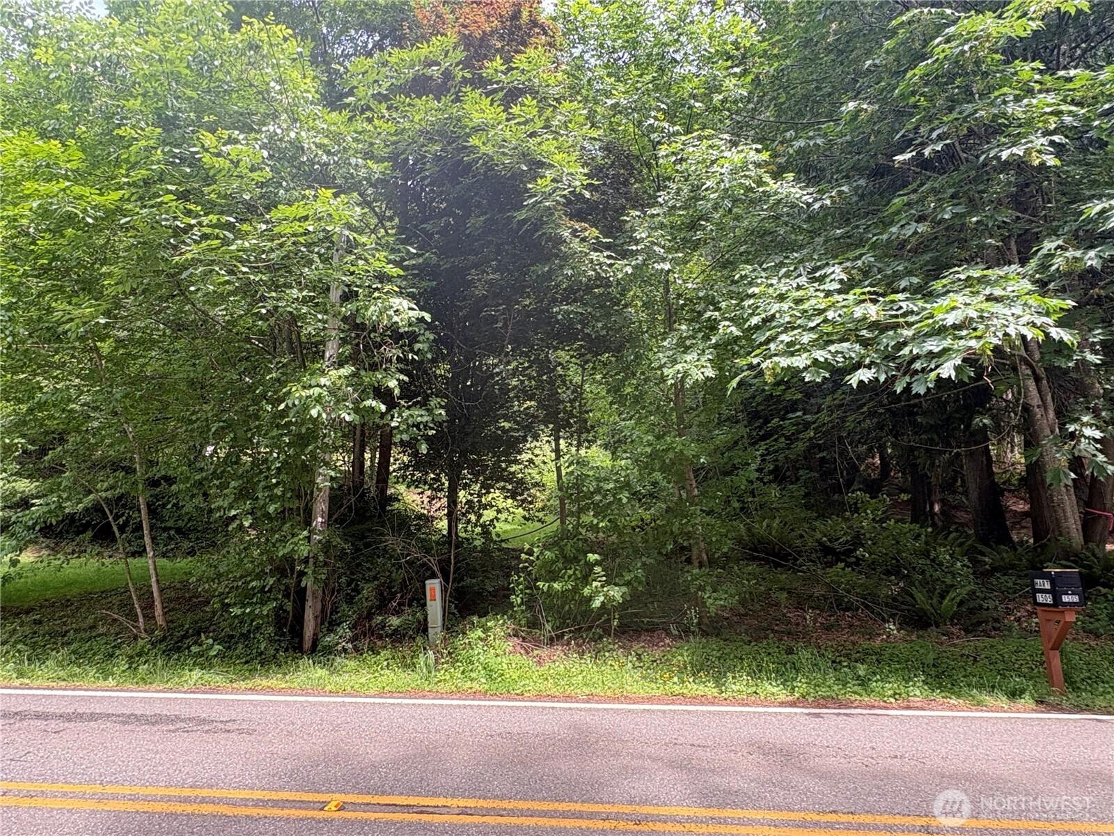 Image 1 Image 1