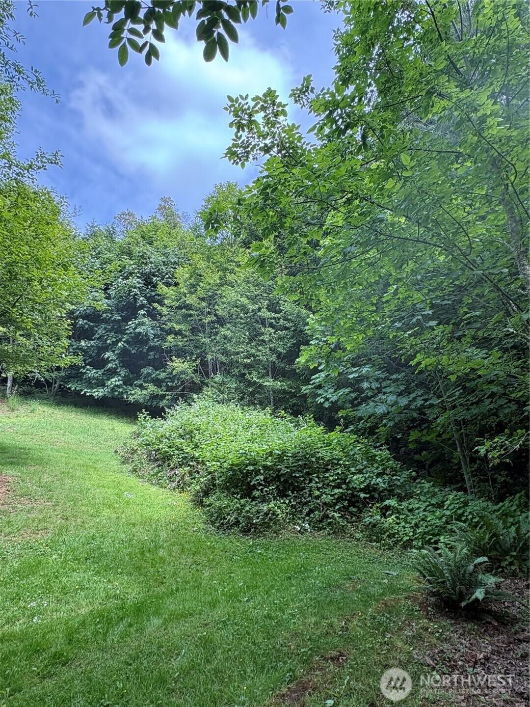 Image 3 Image 3