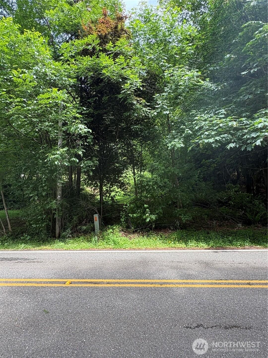 Image 4 Image 4
