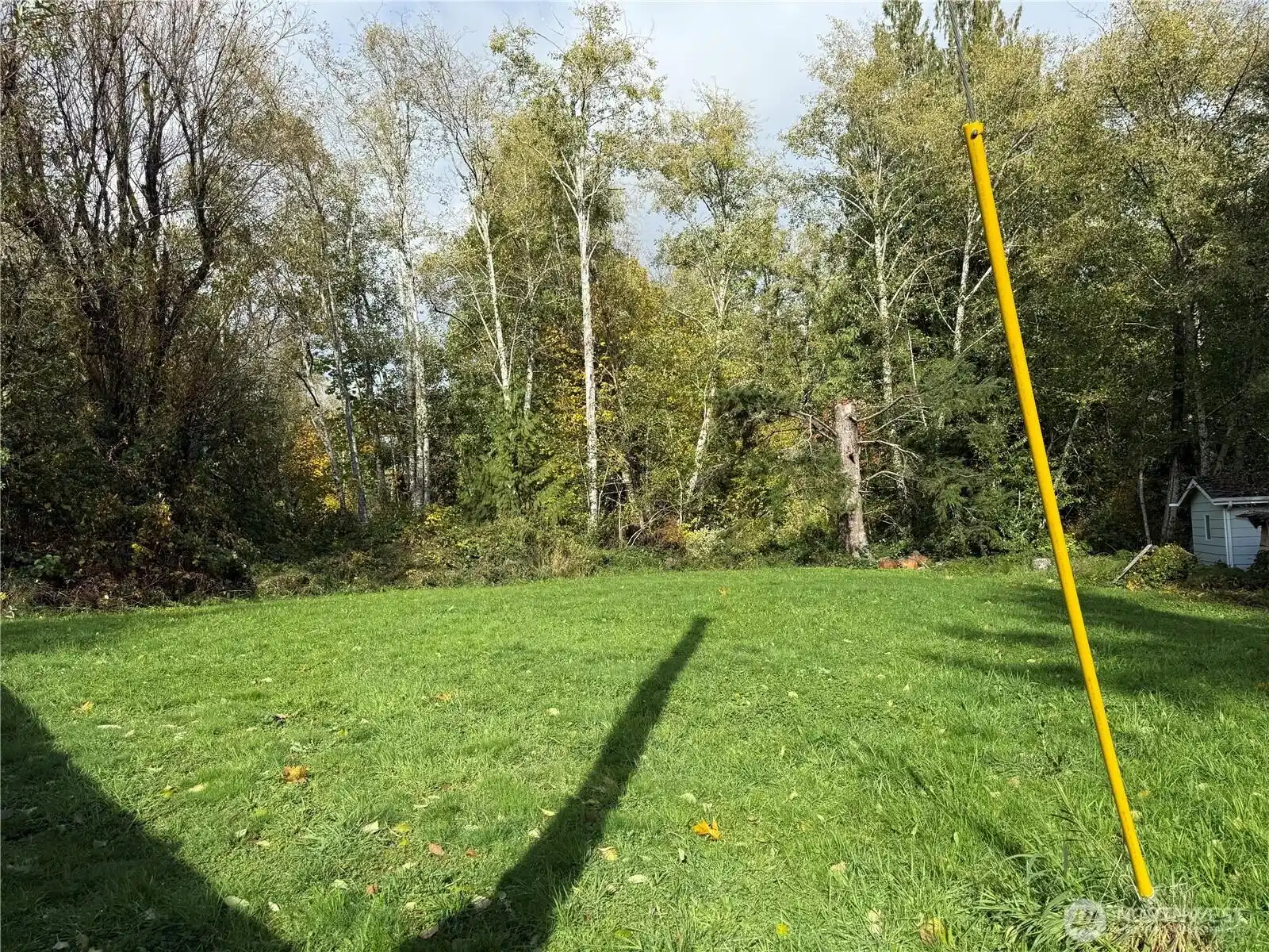 Image 1 Image 1