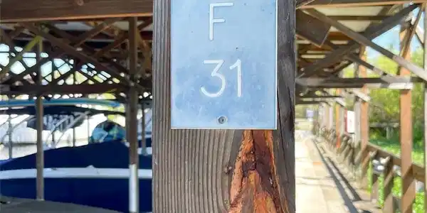 Image 2 Image 2