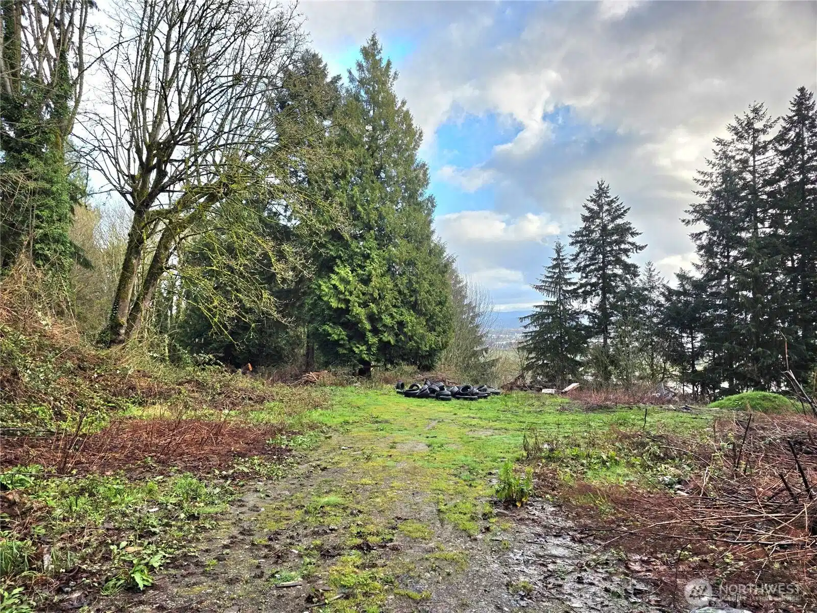 Image 1 Image 1