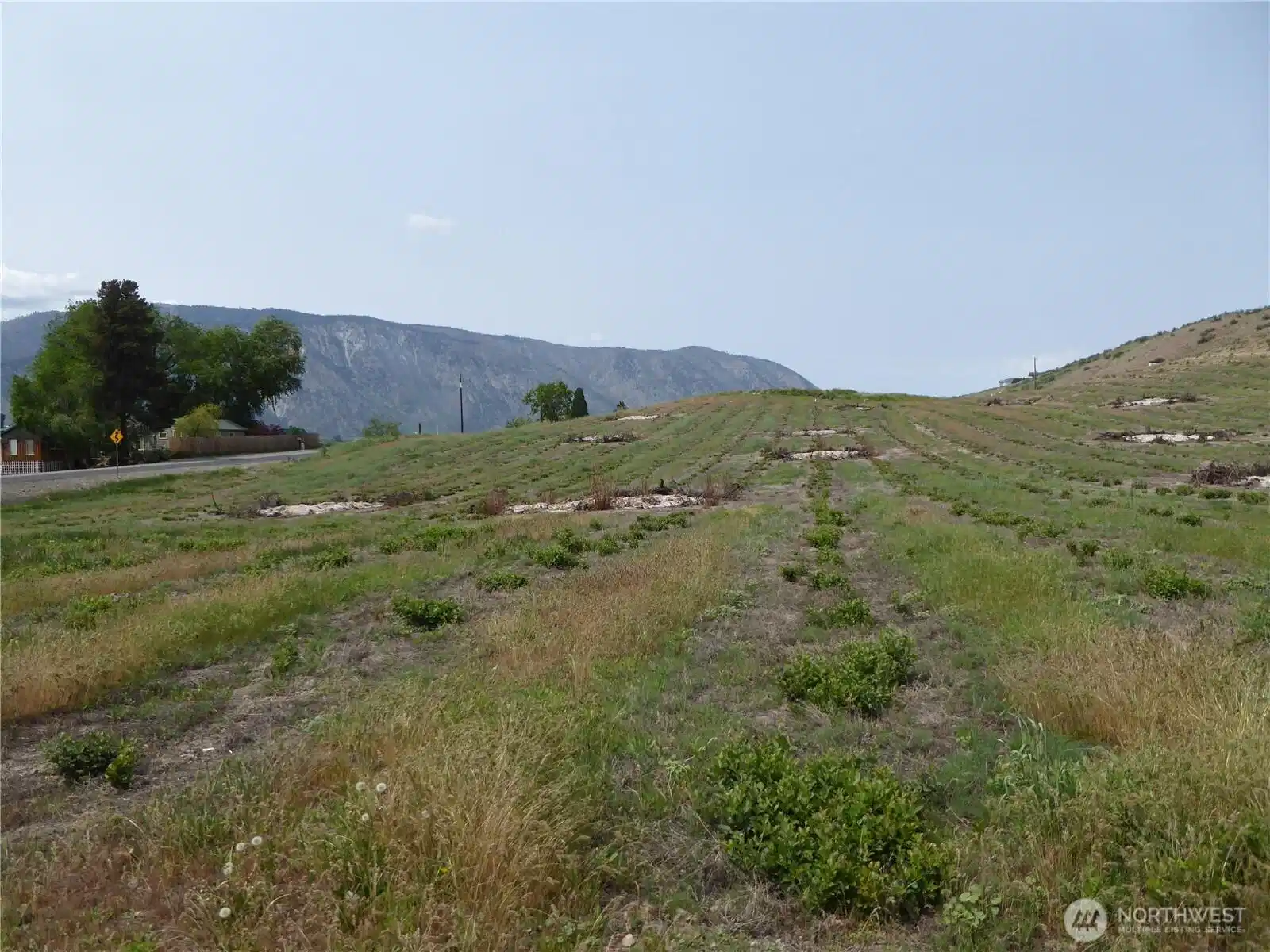 Image 1 Image 1