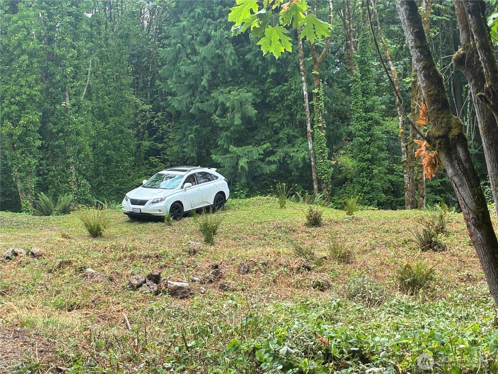 Image 1 Image 1