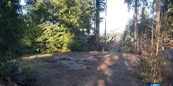 44953 Blacktail