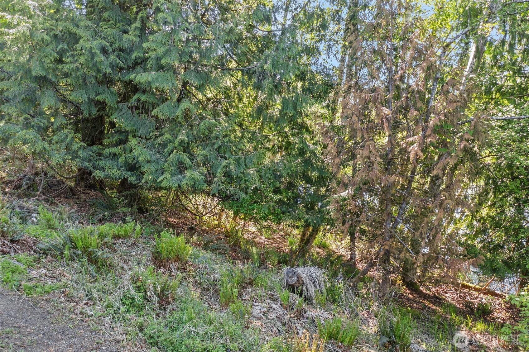 Image 4 Image 4