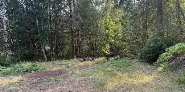 Image 4 Image 4