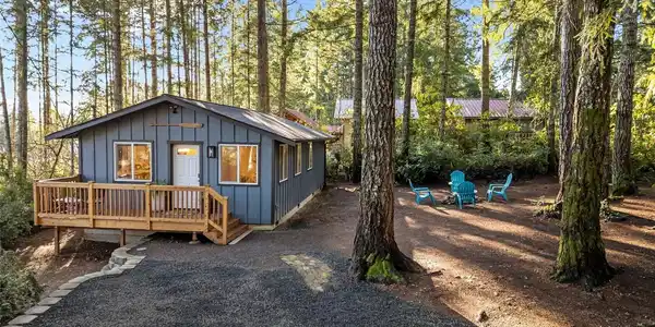 50 Cedar