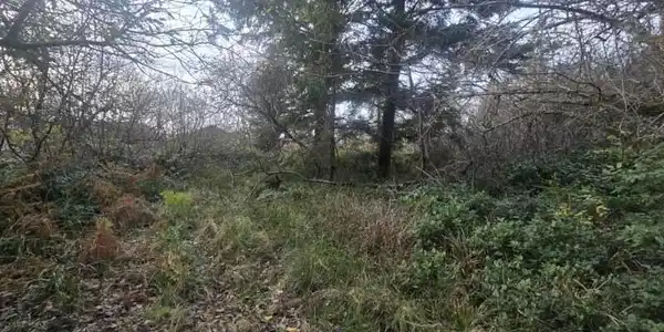 Image 2 Image 2