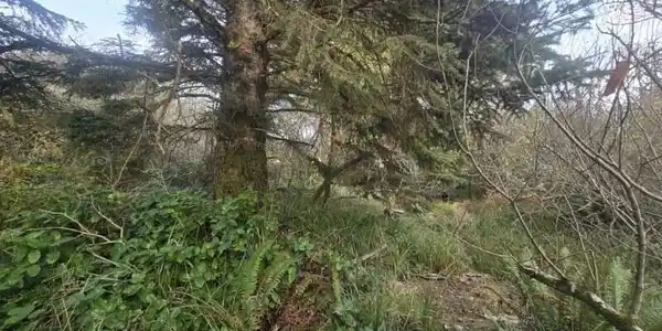 Image 4 Image 4