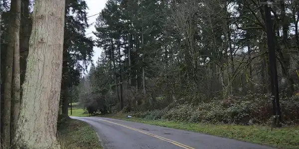 1917 Sunday Lake Road