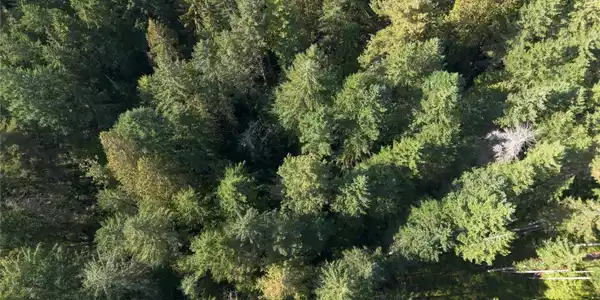 0 Long Lake Rd SE