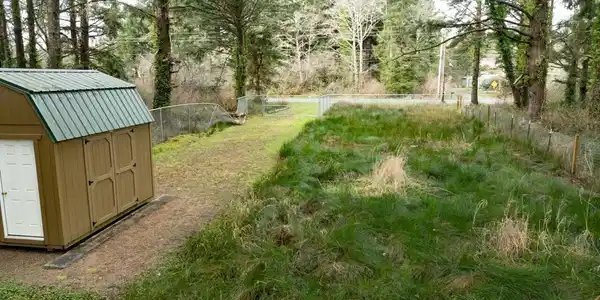 Image 4 Image 4