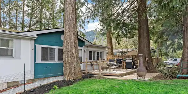 490 Vine Maple