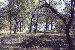41 Grand Harbor Lot 41