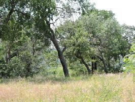 68 Grand Harbor Lot 68