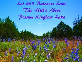 1175 Balcones Lot 663