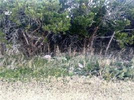 310 Bay Hill Lot 191