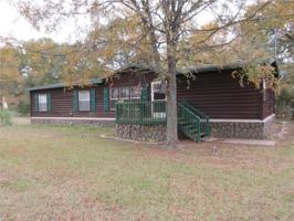 388 Whitefoot