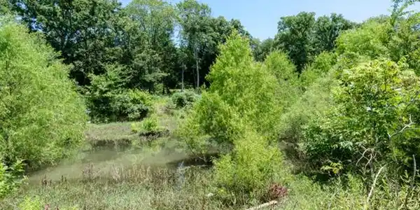 55 Arrowhead Point Lot 55
