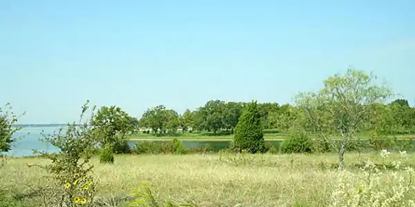 7 Pacifico