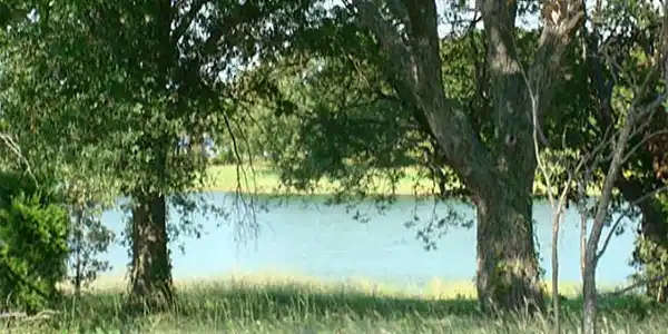 9 Pacifico