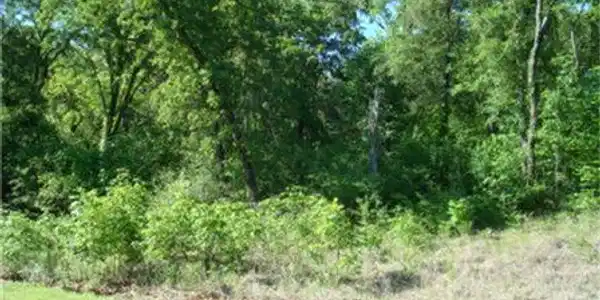 32 Meandering Way Lot 32