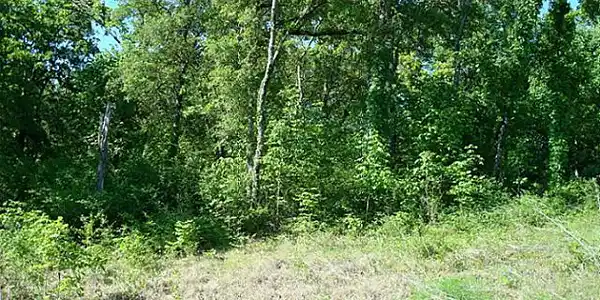 34 Meandering Way Lot 34